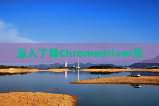 深入了解Chromedriver库