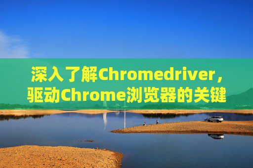 深入了解Chromedriver，驱动Chrome浏览器的关键工具