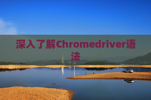 深入了解Chromedriver语法
