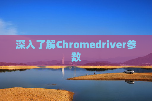 深入了解Chromedriver参数